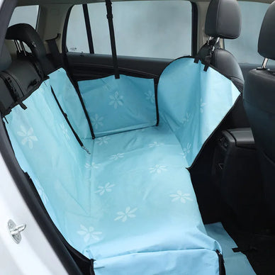 "Travel Freely with Your Furry Companion!"