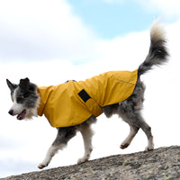 Arvello™ WeatherGuard Elite Dog Jacket – All-Weather Waterproof