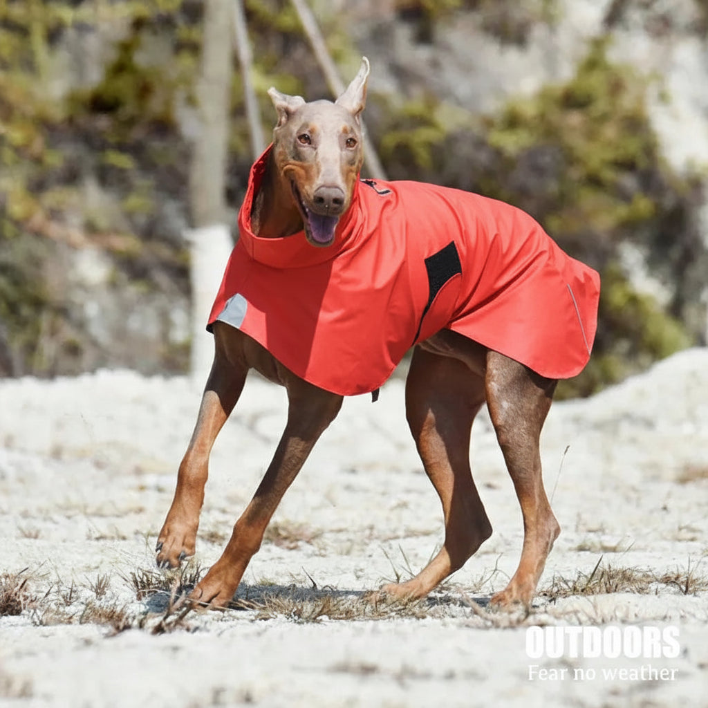 Arvello™ WeatherGuard Elite Dog Jacket – All-Weather Waterproof