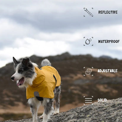 Arvello™ WeatherGuard Elite Dog Jacket – All-Weather Waterproof