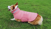 Arvello™ ThermoShield Elite Waterproof Dog Coat for Winter